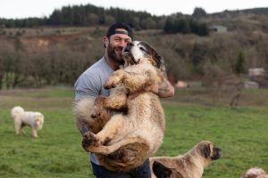 Navigating the Cannabinoid Frontier: How Legislative Shifts Threaten the Future of Veterinary Hemp Therapy