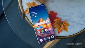 OnePlus Temporarily Halts Software Rollback Capability, Citing Security Imperatives