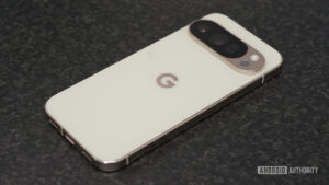 The Unforeseen Consequence of Computational Photography Dominance: Device Sharing Epidemics