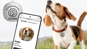 Bridging the Digital Leash: How Family Locator Platforms Are Reinventing Companion Animal Management