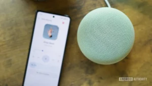 Navigating Smart Home Friction: Google’s Impending Patch for Smart Speaker List Inconsistencies